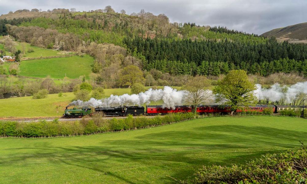 a train on a lush green field