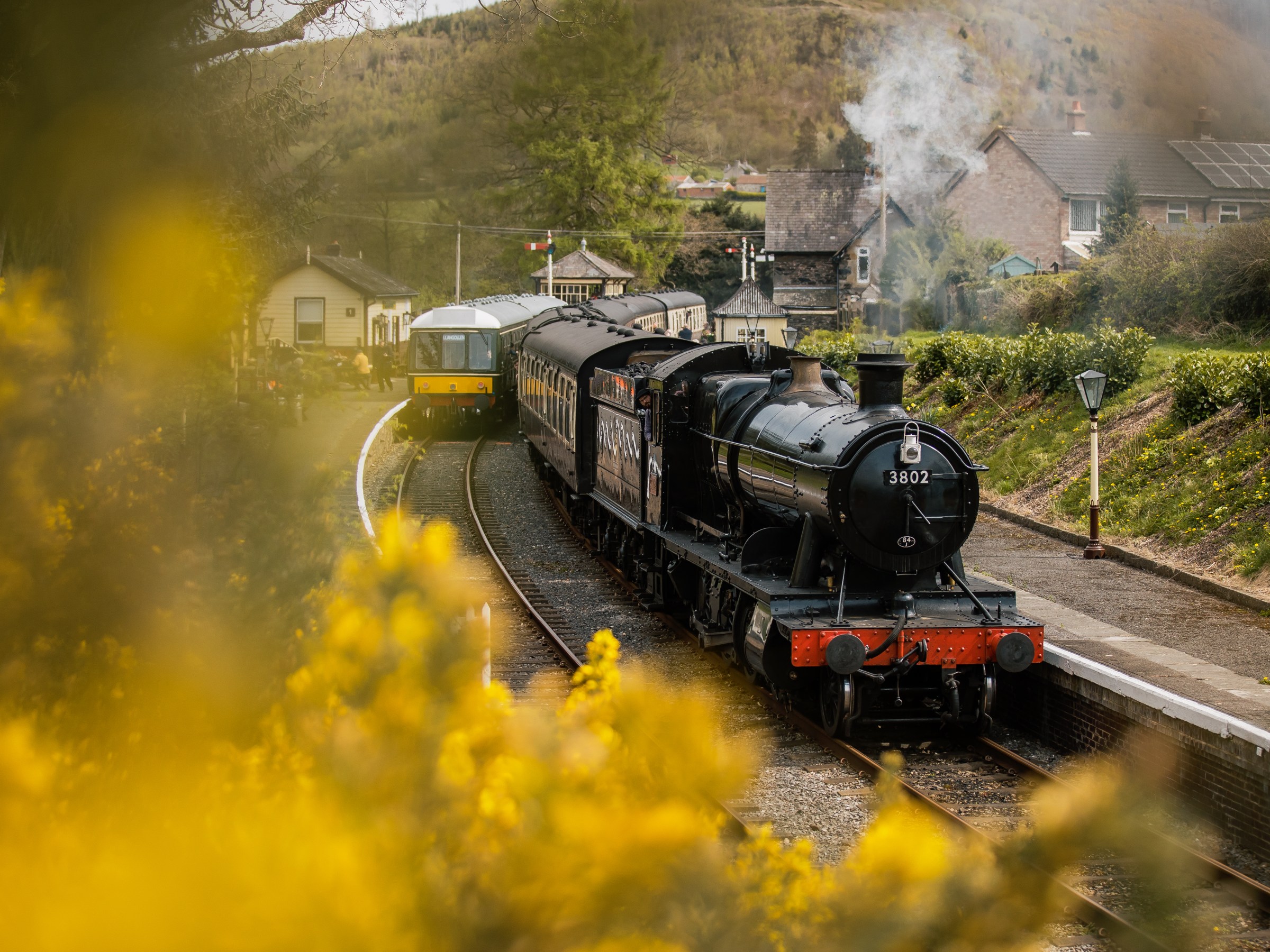 GWR steam locomotive on track