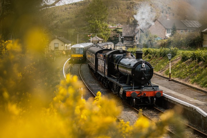 GWR steam locomotive on track