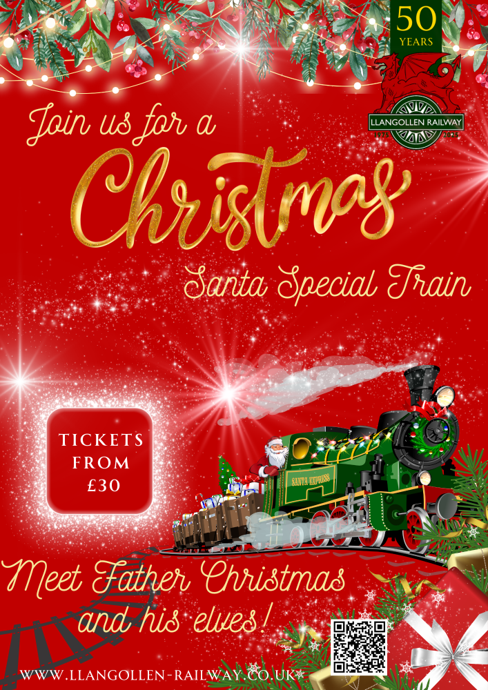 Santa Specials Poster 2024